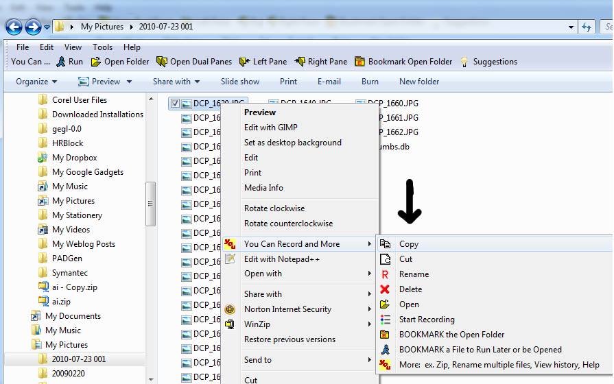 select the the files to copy in Windows Explorer